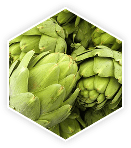 ProstaVive Ingredients - Artichoke Extract