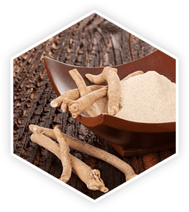 ProstaVive Ingredients - Ashwagandha