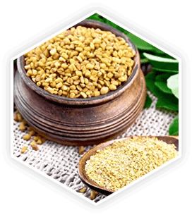 ProstaVive Ingredients - Fenugreek