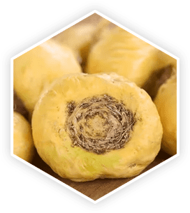 ProstaVive Ingredients - Maca Root
