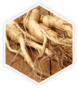 ProstaVive Ingredients - Panax Ginseng