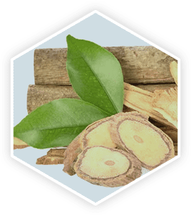 ProstaVive Ingredients - Tongkat